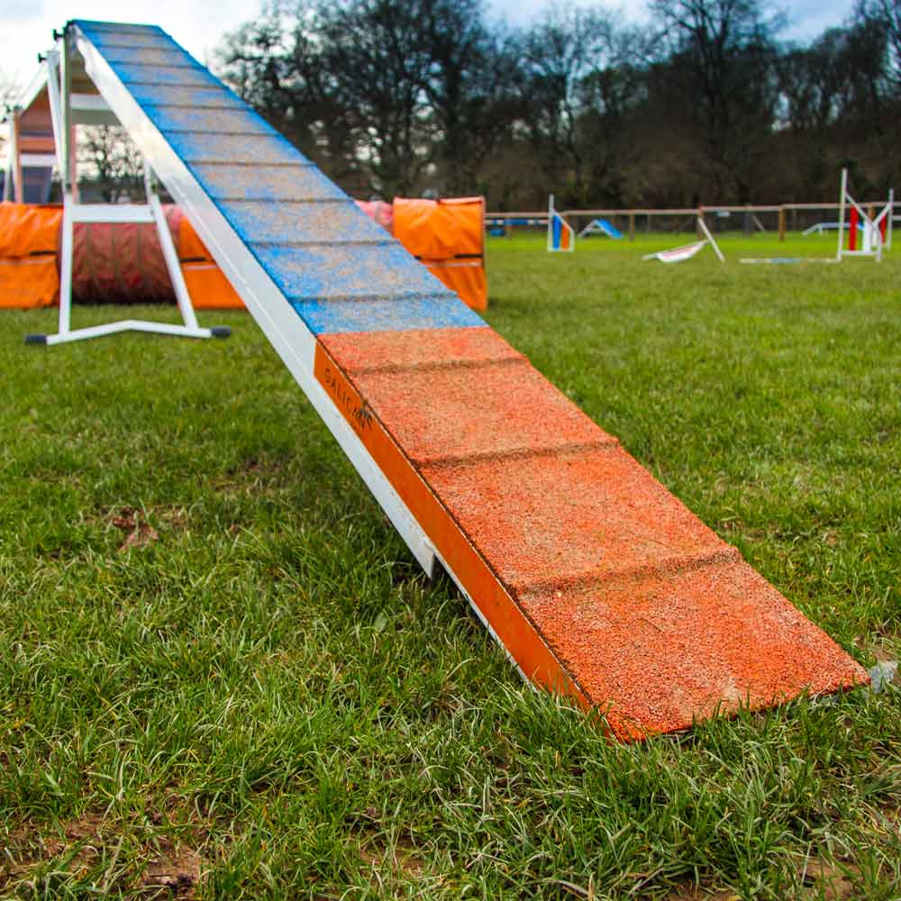 Le Club Canin Vannetais est composé d’une section Éducation canine avec son École du chiot et de 5 sections sportives : l’agility, le dog dancing, le hoopers, l’obéissance et le sauvetage à l’eau.