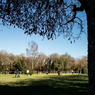 Éducation canine avec le Club Canin Vannetais