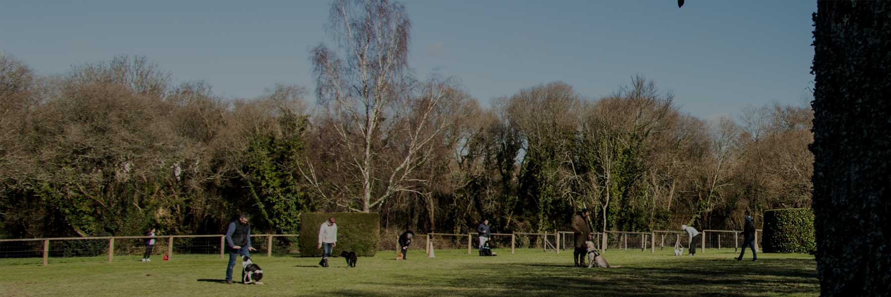 Éducation canine par le Club Canin Vannetais