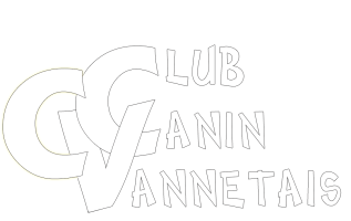 Le Club Canin Vannetais est composé d’une section Éducation canine avec son École du chiot et de 5 sections sportives : l’agility, le dog dancing, le hoopers, l’obéissance et le sauvetage à l’eau.